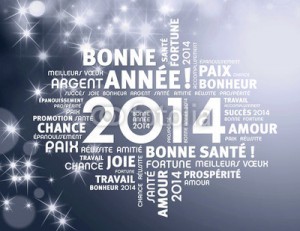 Bonne-annee-2014